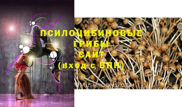 круглые Иннополис