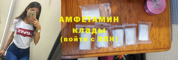 молекула духа Инсар