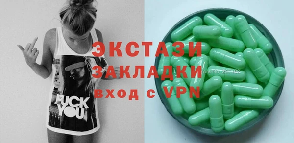 твердый Инта