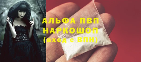 твердый Инта