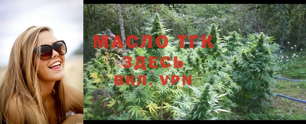 твердый Инта