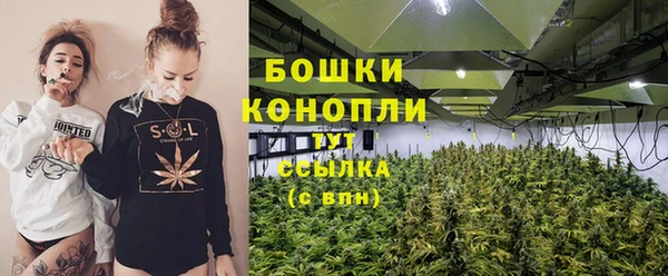 молекула духа Инсар