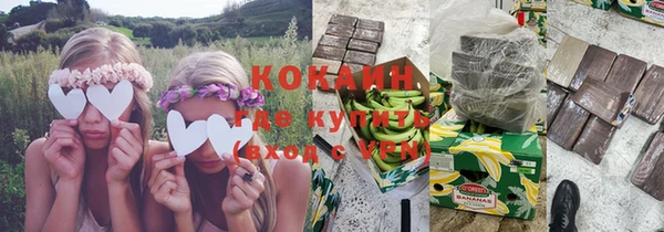 твердый Инта