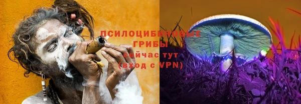 молекула духа Инсар