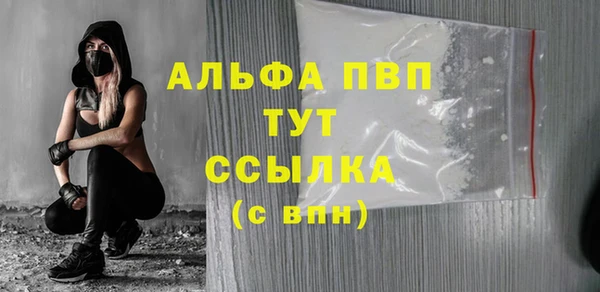 твердый Инта