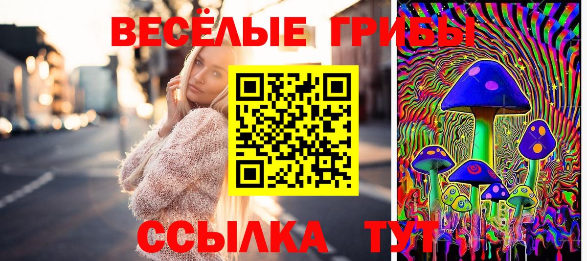 Галлюциногенные грибы Psilocybine cubensis  Вход с VPN  даркнет сайт  Курганинск 